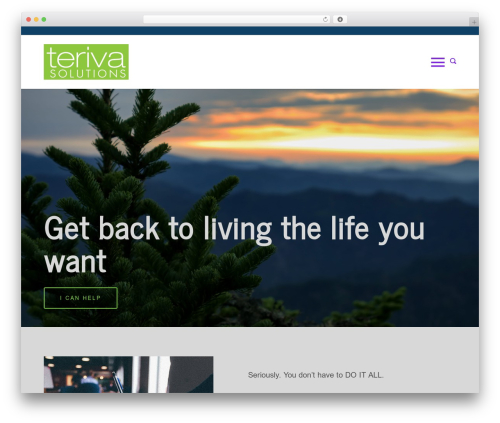 Webobasic WordPress theme - terivasolutions.com