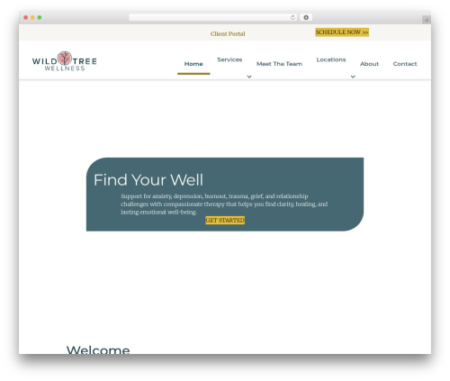 WordPress theme Beaver Builder Theme - wildtreewellness.com