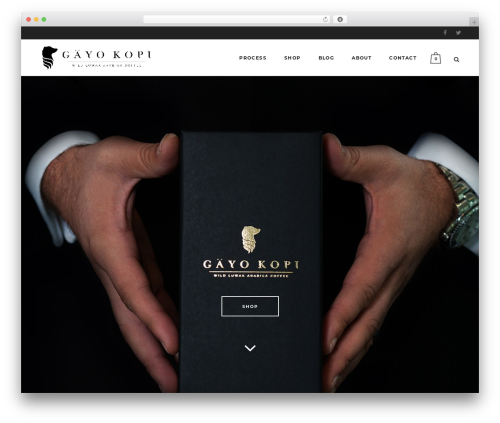 Wp hummingbird WordPress plugin - gayokopi.com