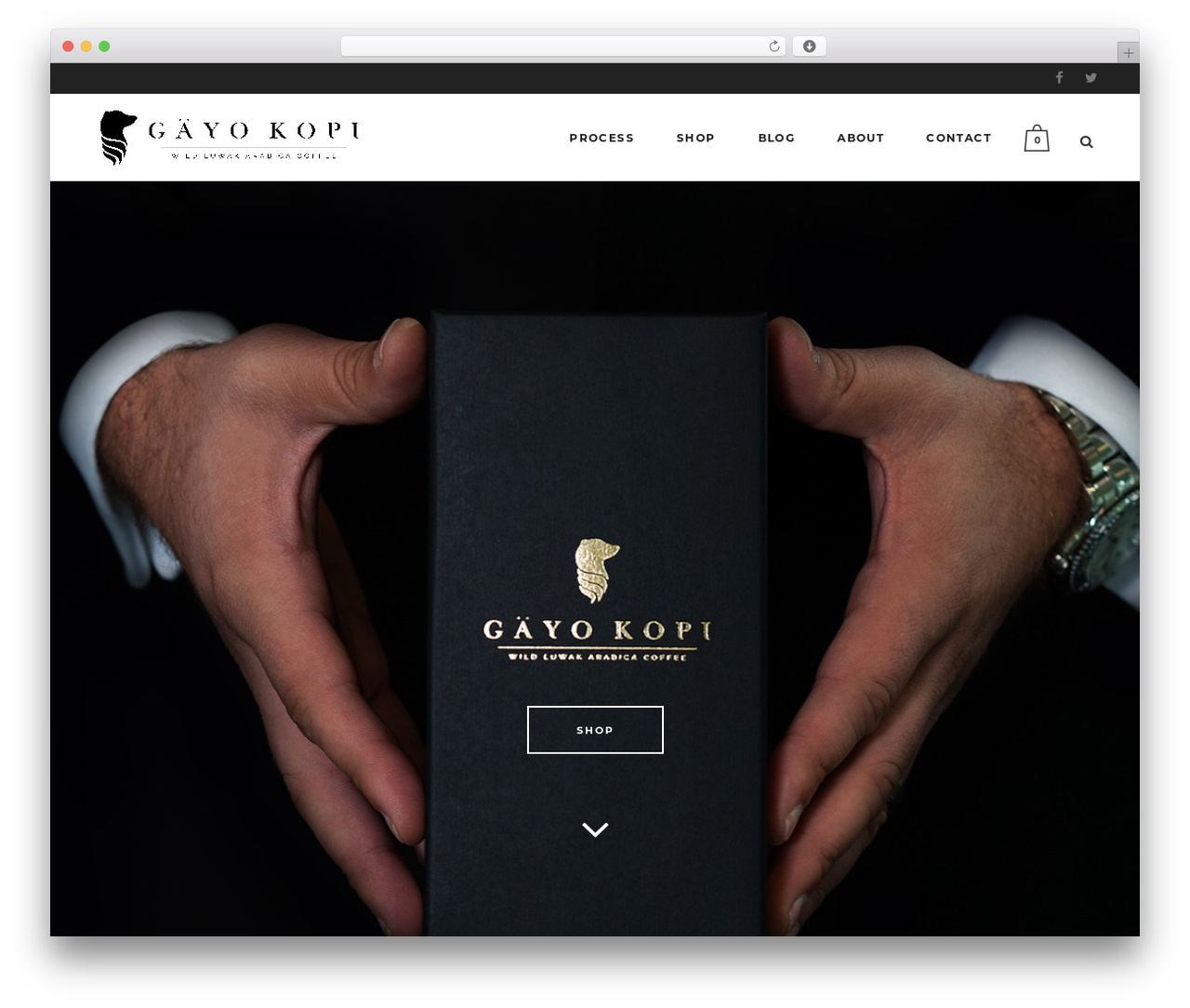 WP theme Bridge - gayokopi.com