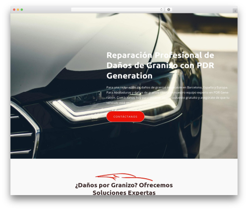 Constructor WordPress theme - pdrgeneration.com
