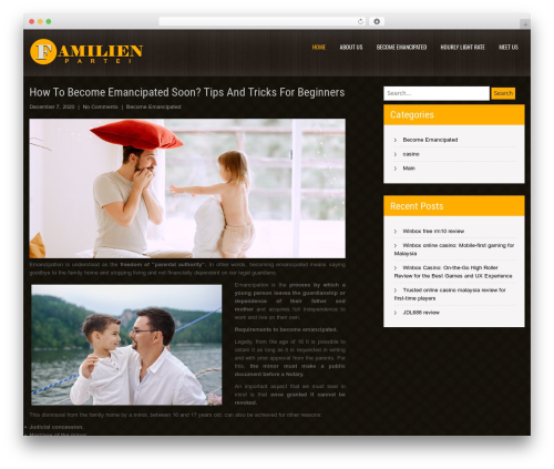 Interior Lite free WordPress theme - familienpartei.net