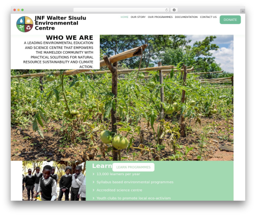 Hello Elementor premium WordPress theme - wsec.org.za