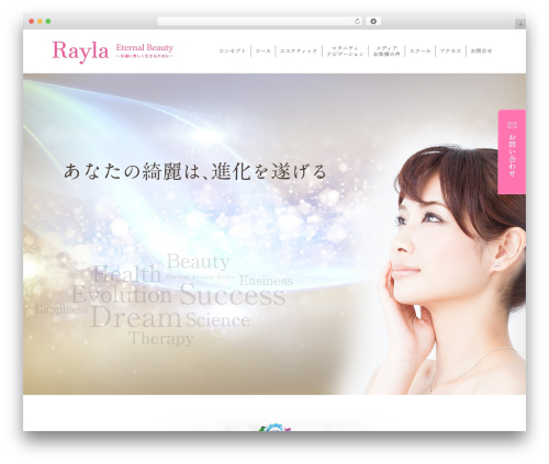WordPress theme 新・ソリューションパッケージ - rayla.biz