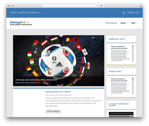 Article geo WordPress plugin - malagacf.pl