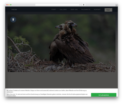 Honeypot for forminator form WordPress plugin - fokus-natur.com