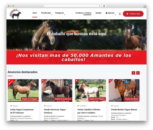 Classified Listing – Classified ads & Business Directory Plugin (classified-listing) free WordPress plugin - chilecaballo.cl Classified Listing – Classified ads & Business Directory Plugin (classified-listing) free WordPress plugin - chilecaballo.cl