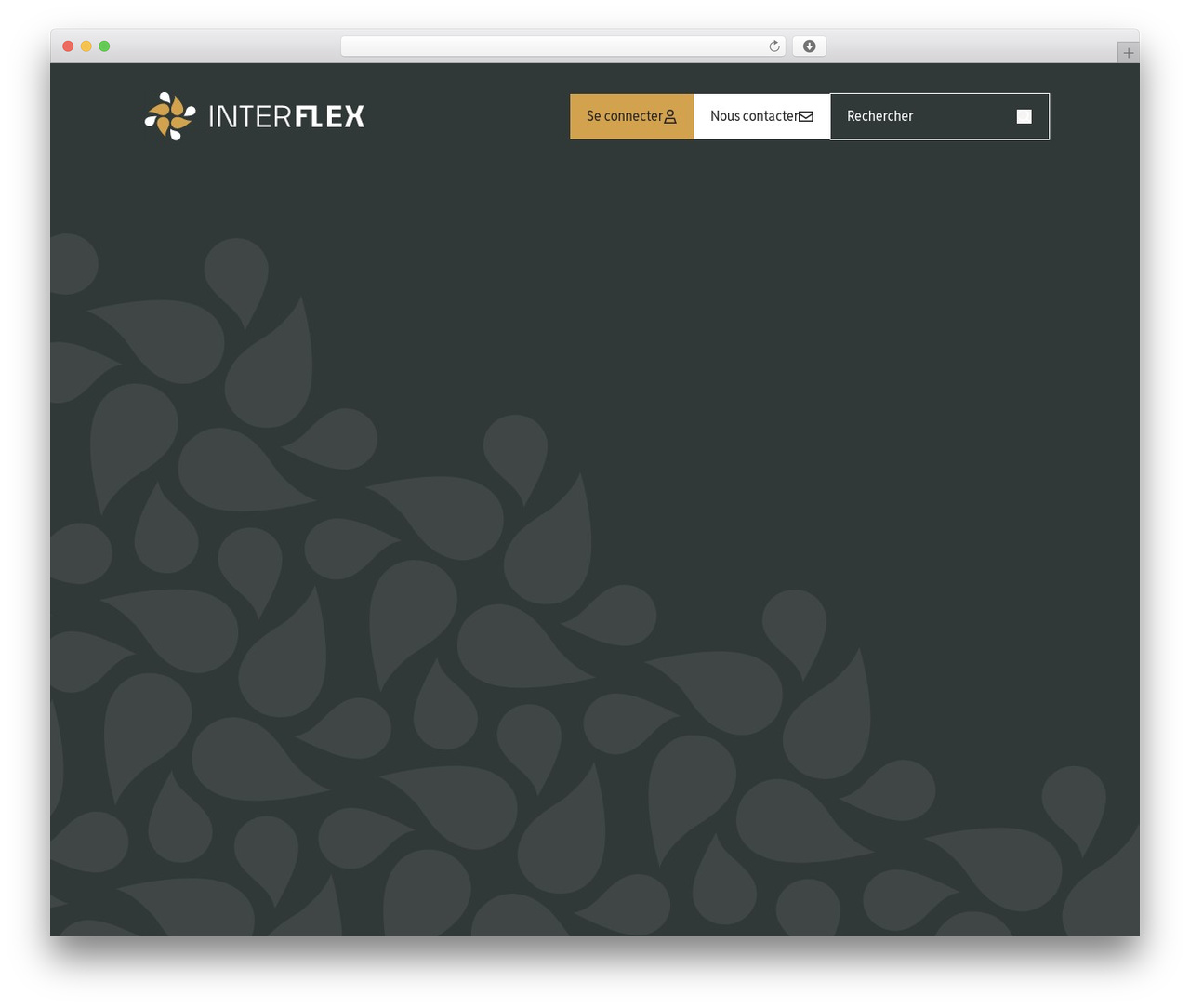 WordPress theme interflex - webshop.interflex63.com