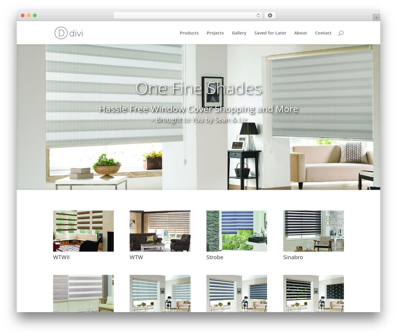 WordPress theme Divi - onefineshades.com