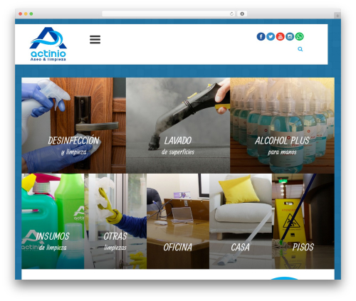 WordPress theme Limpieza Wordpress Theme - actinio.cl