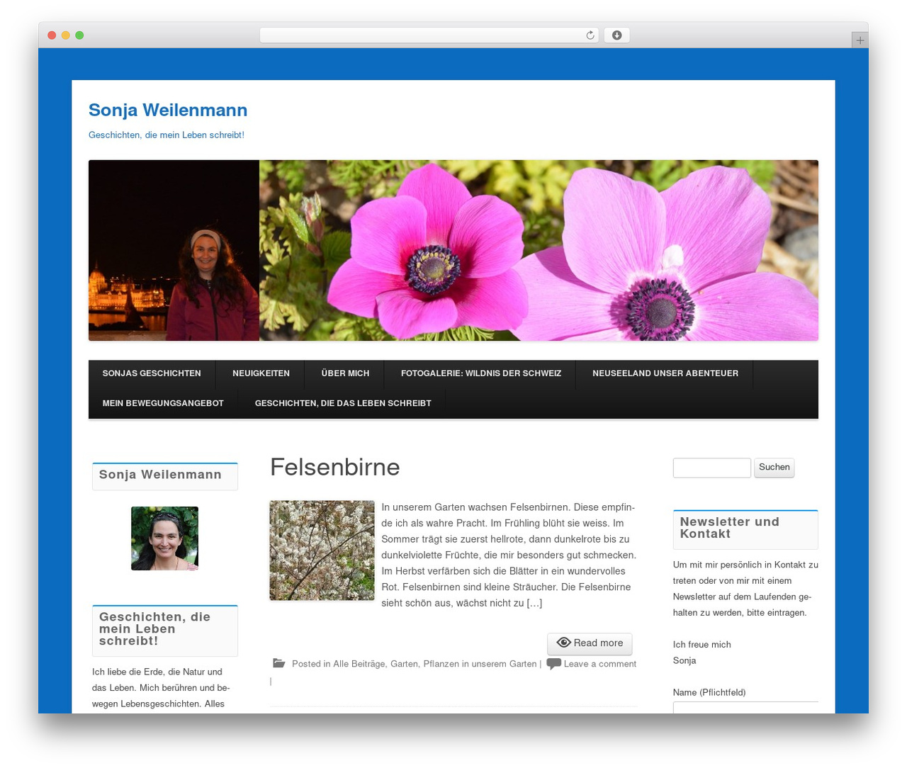 WordPress theme Techism - sonjaweilenmann.ch WordPress theme Techism - sonjaweilenmann.ch