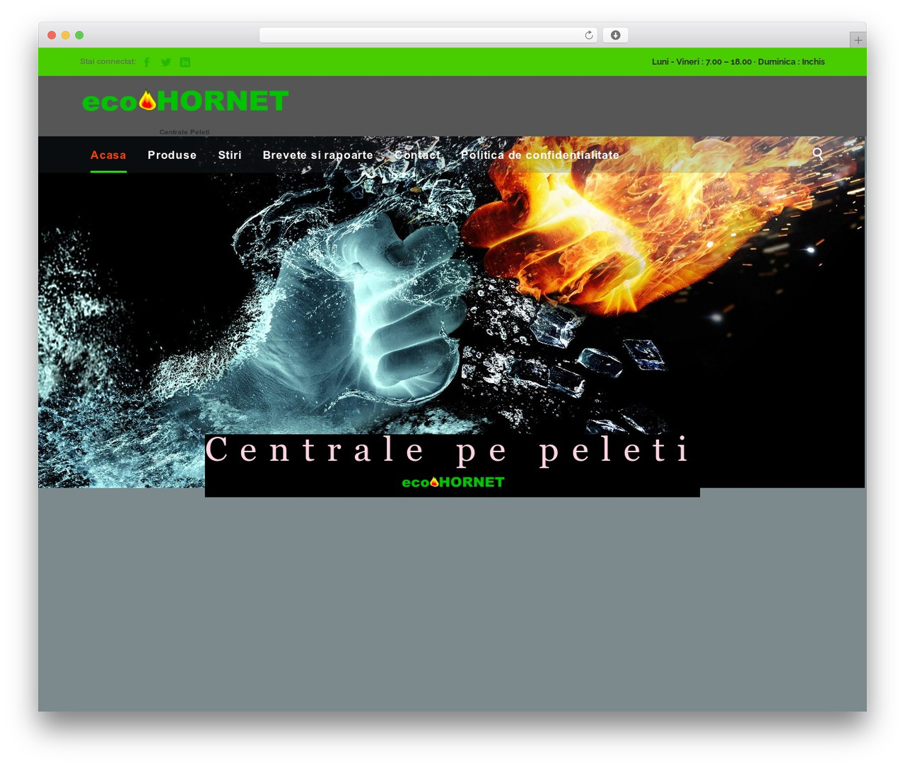 Construction WordPress website theme - ecohornet.ro Construction WordPress website theme - ecohornet.ro