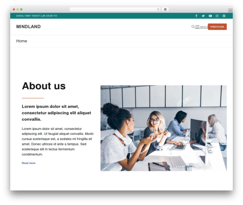 Customify WordPress theme design - mindland.eu