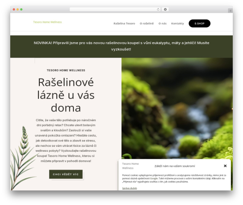 Divi WordPress theme - raselinovakoupel.cz