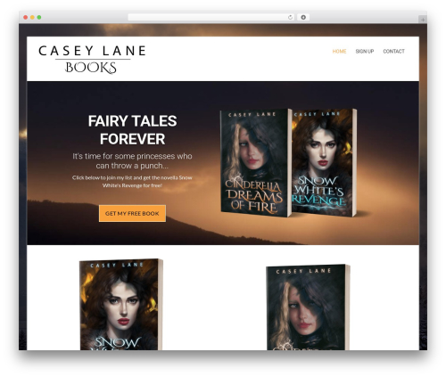 Flex Pro Theme WordPress website theme - caseylanebooks.com