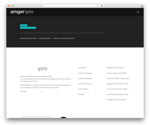 Theme WordPress Divi - amgerpro.com