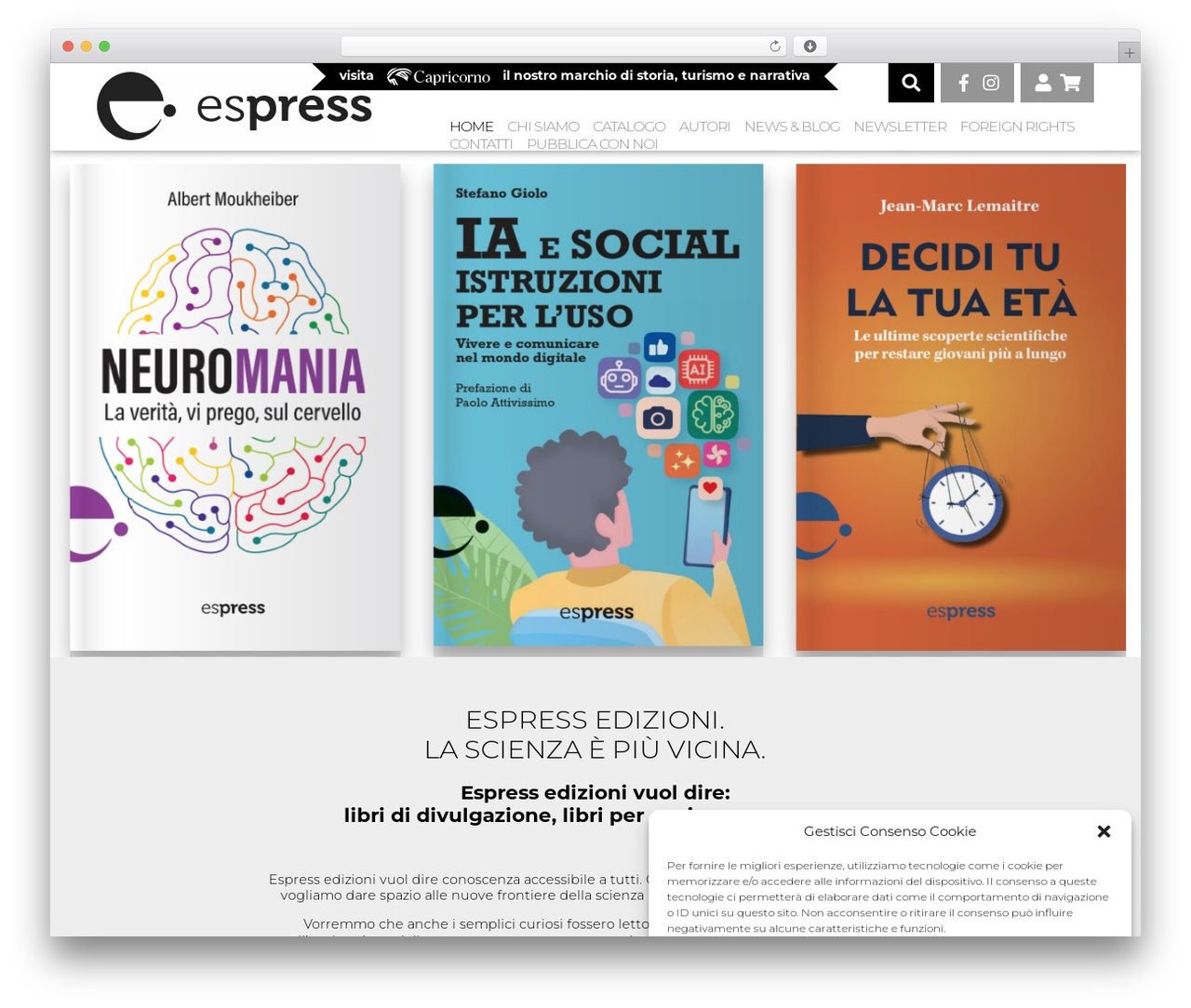 WordPress theme espress - espress.it