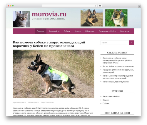 WP theme Basic DeLux - murovia.ru