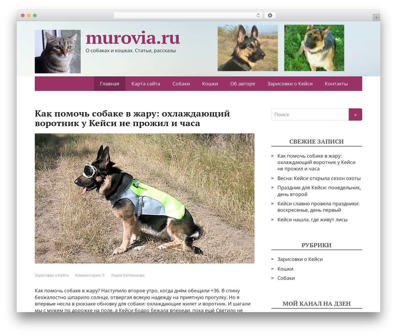 WP theme Basic DeLux - murovia.ru WP theme Basic DeLux - murovia.ru