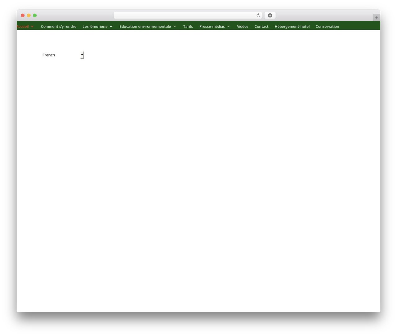 Divi theme WordPress - lemurspark.com Divi theme WordPress - lemurspark.com