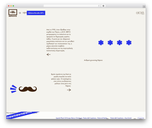 WP theme Web Expert - Basic Template - www.nipavo.gr