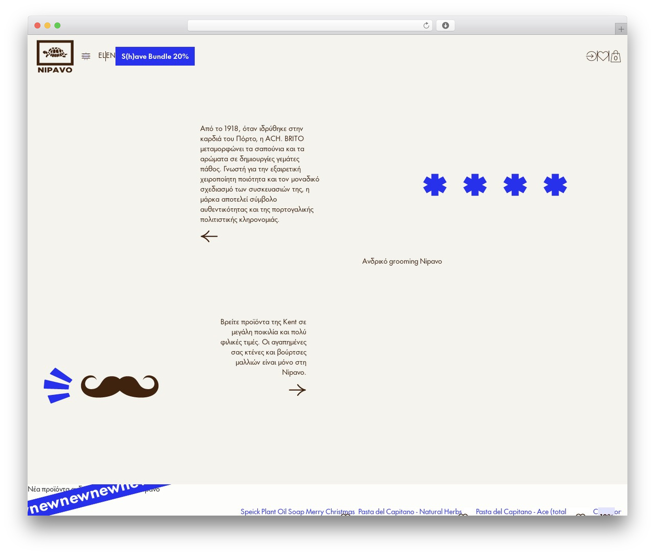 WP theme Web Expert - Basic Template - www.nipavo.gr