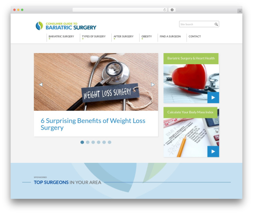 YBSG WordPress Theme WordPress theme - yourbariatricsurgeryguide.com