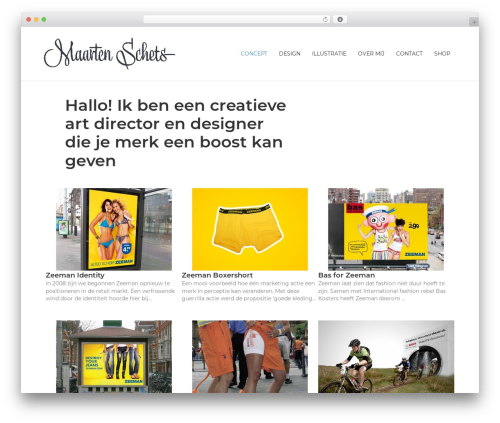 Visitor Traffic Real Time Statistics (visitors-traffic-real-time-statistics) free WordPress plugin - maartenschets.net