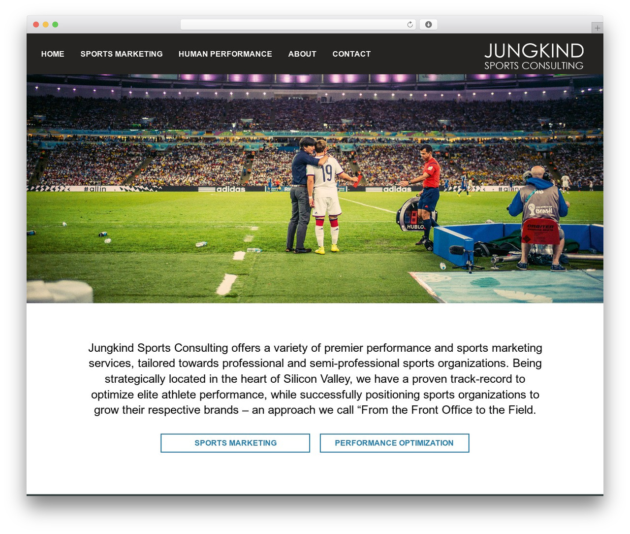 Best WordPress theme Divi - jungkindsportsconsulting.com