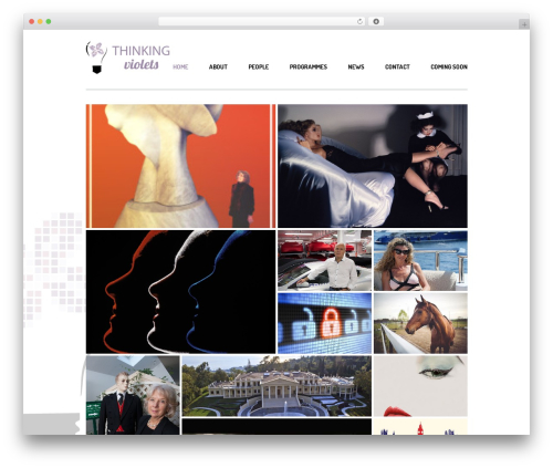 Daisho WordPress theme - thinkingviolets.tv