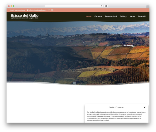 Record of consent extension for complianz WordPress plugin - briccodelgallo.com