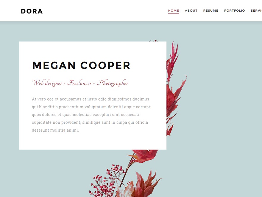 Dora Wordpress Blog Theme By Ninetheme