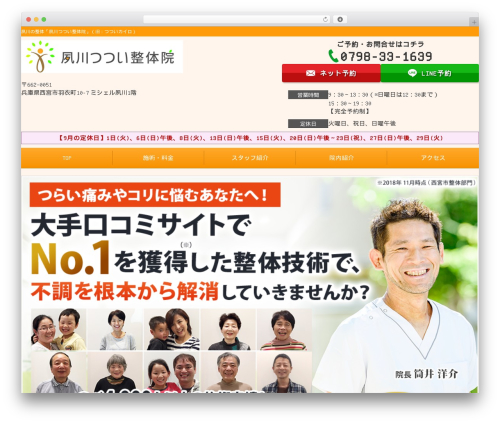 Selfull WordPress theme - tsutsui-chiro.com