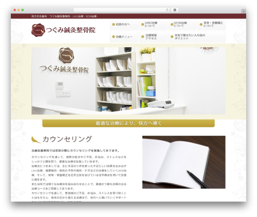Theme WordPress 新・ソリューションパッケージ - tsugumi-seikotsu.com