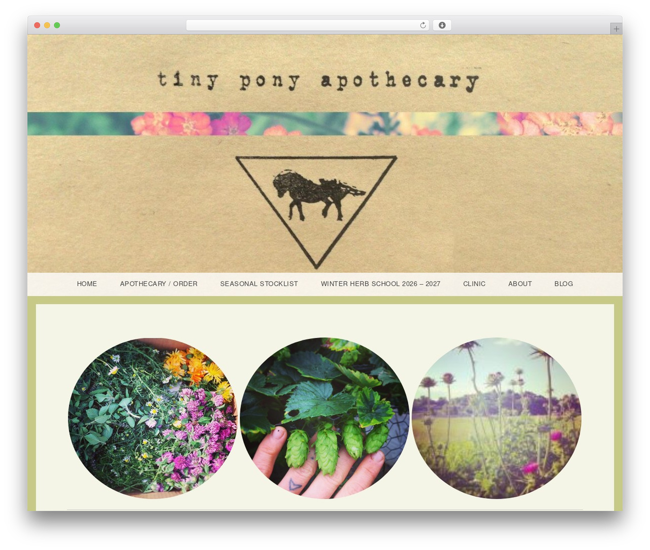 Theme WordPress Snaps - WordPress.com - tinyponyapothecary.com Theme WordPress Snaps - WordPress.com - tinyponyapothecary.com
