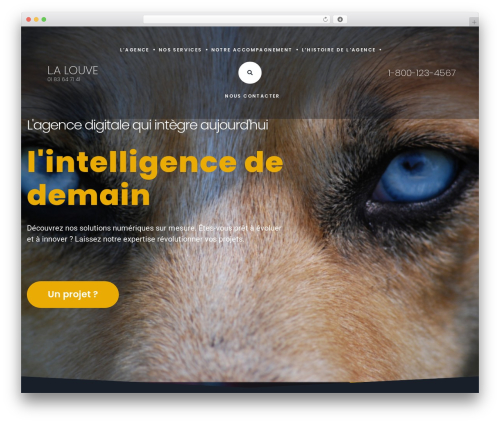 Theme WordPress DeepDigital - lalouve-ia.com