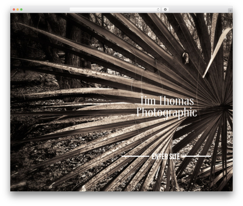 Theme WordPress Kameron - timthomasphotographic.com