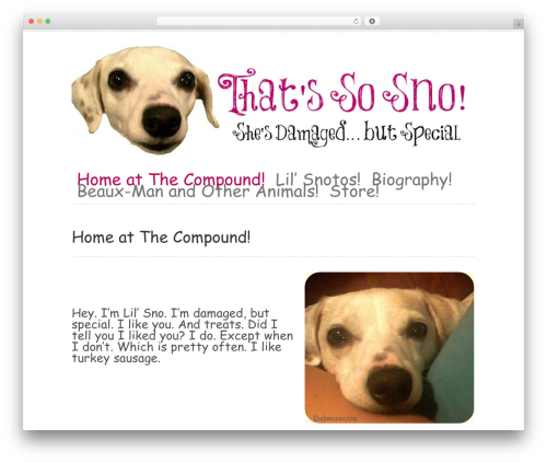 Really simple twitter feed widget WordPress plugin - thatssosno.com