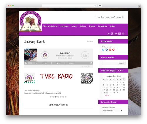 Tabs Shortcode and Widget (tabs-shortcode-and-widget) free WordPress plugin - truevinebacolod.com Tabs Shortcode and Widget (tabs-shortcode-and-widget) free WordPress plugin - truevinebacolod.com