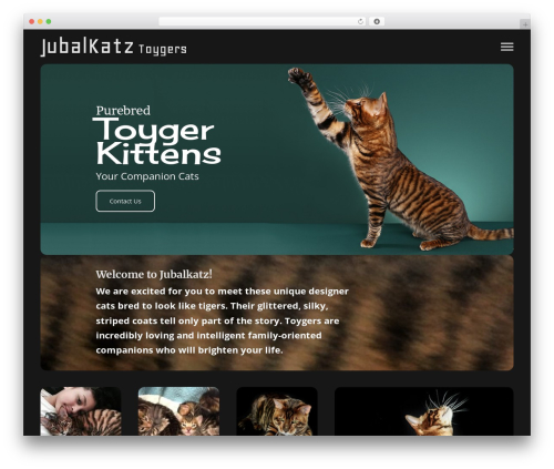 Godaddypws pws core 60ef3006c2a4f1ad74481f702b2130d9418f3429 WordPress plugin - jubalkatz.com