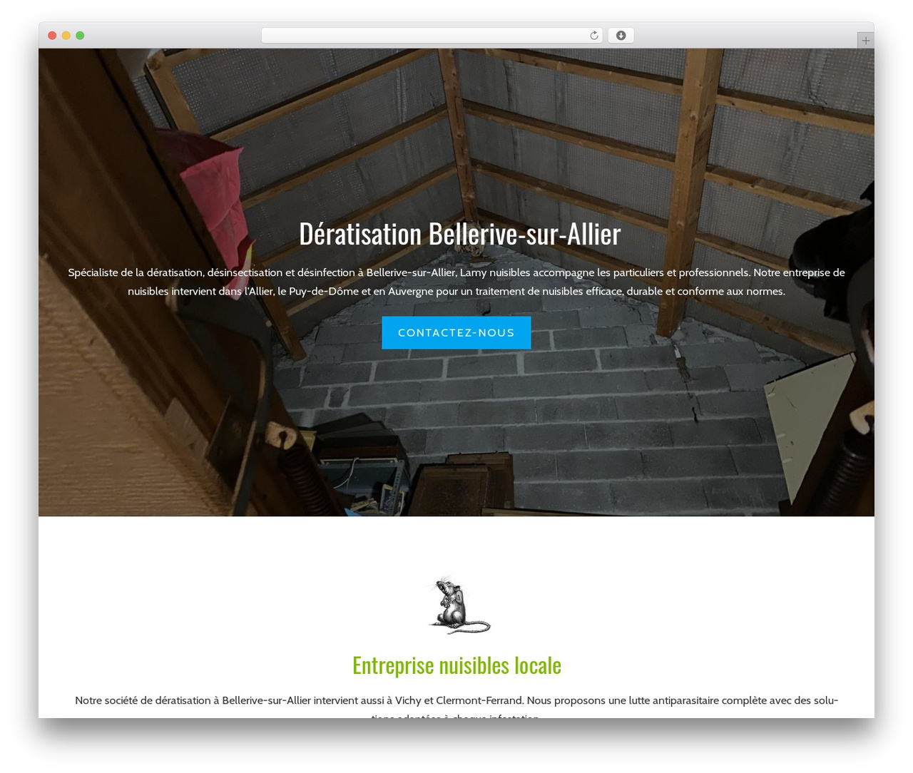 Constructor WP theme - lamy-nuisibles.fr