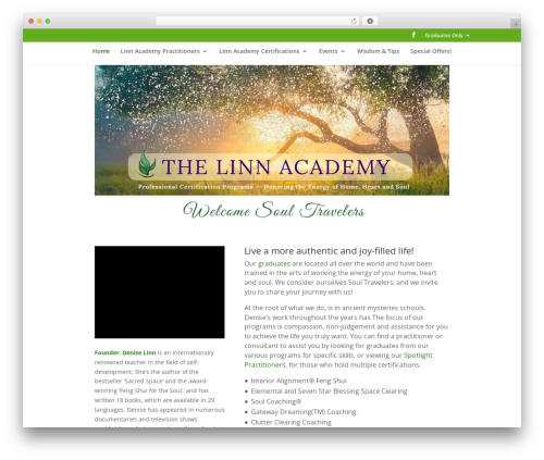 Connections circled WordPress plugin - thelinnacademy.com