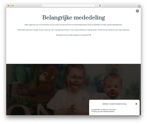 Themify Popup (themify-popup) free WordPress plugin - cakesmashfotografie.nl