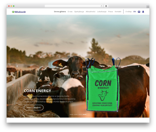 User Email Verification for WooCommerce (woo-confirmation-email) free WordPress plugin - sklodowski.com.pl User Email Verification for WooCommerce (woo-confirmation-email) free WordPress plugin - sklodowski.com.pl