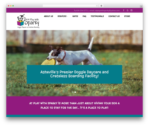 WordPress theme Optimizer PRO - atplaywithsparky.com