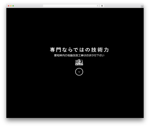 Startreweb WordPress plugin - bigwest-nagoya.com