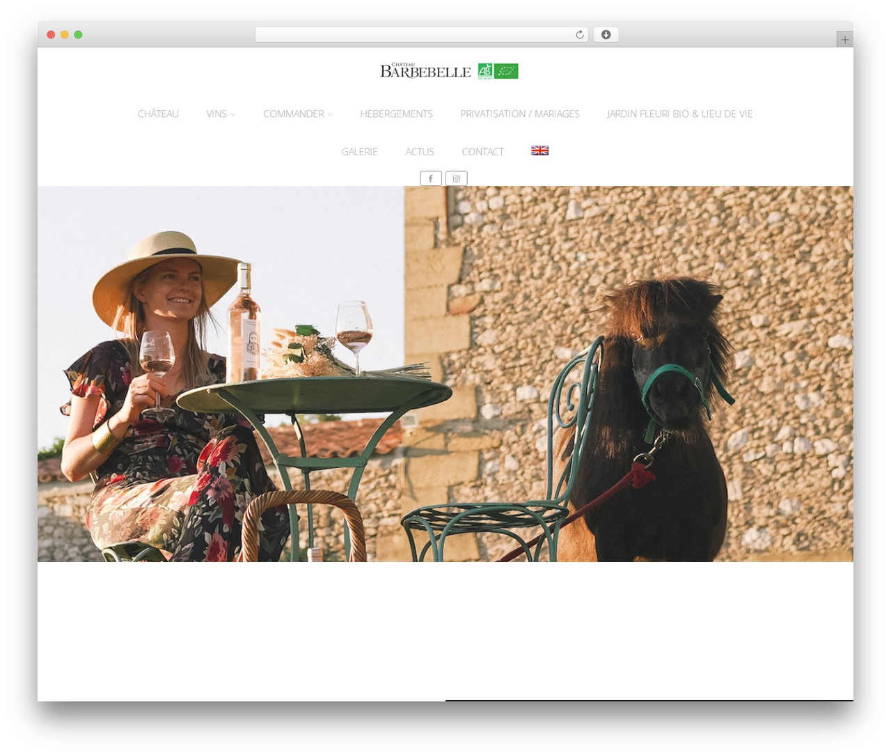 WP theme Optimizer PRO - chateaubarbebelle.com WP theme Optimizer PRO - chateaubarbebelle.com