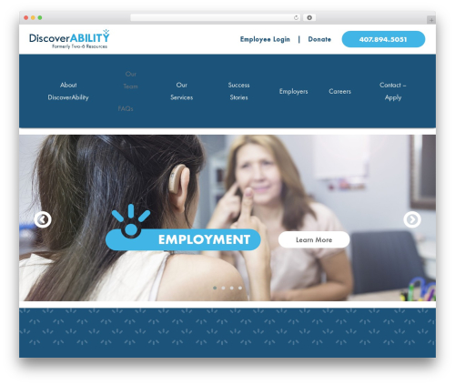 Appleton WordPress theme - discoverability.org