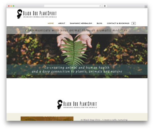 Optimizer PRO WordPress theme - blackdogclinic.com Optimizer PRO WordPress theme - blackdogclinic.com