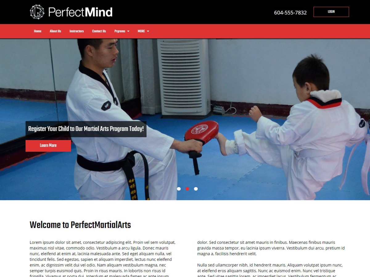PerfectMind Theme WordPress theme by DM Team